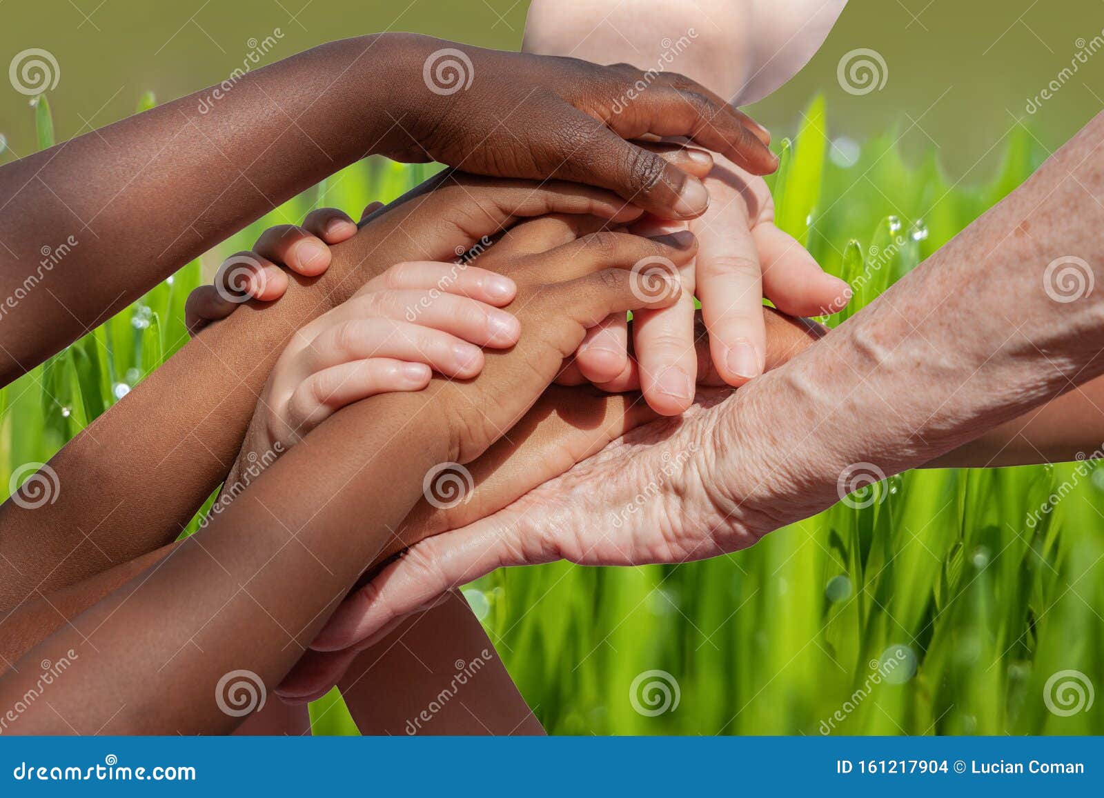 multiracial hands on grass background