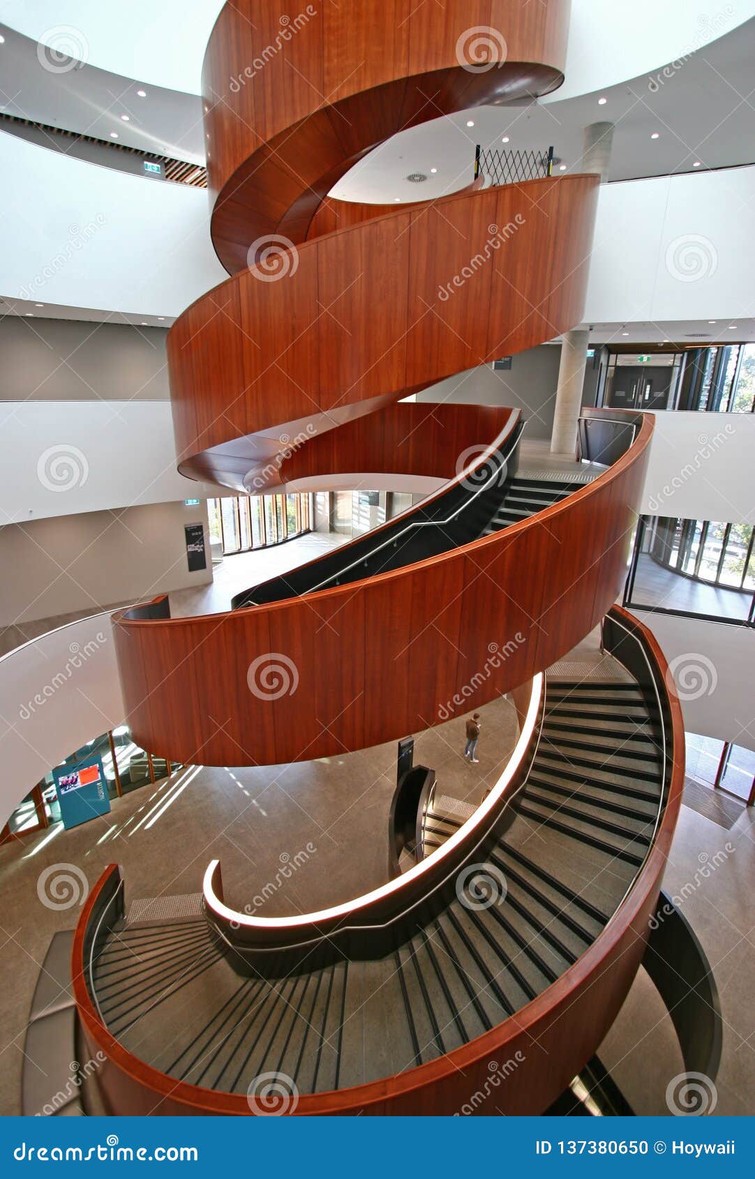 Multistory Indoor Atrium With Suspended Wood Spiral Stairs