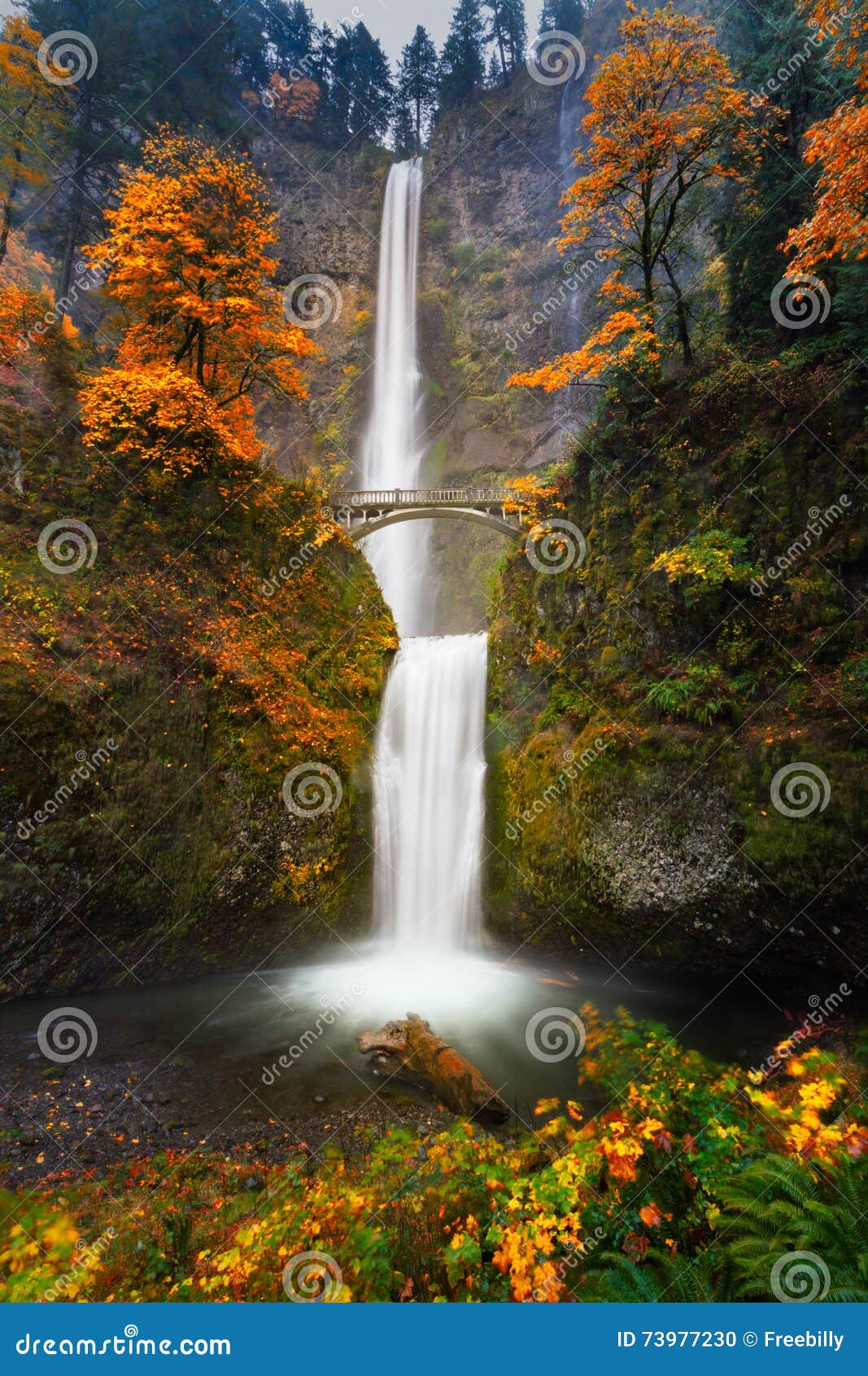 multnomah falls in autumn colors