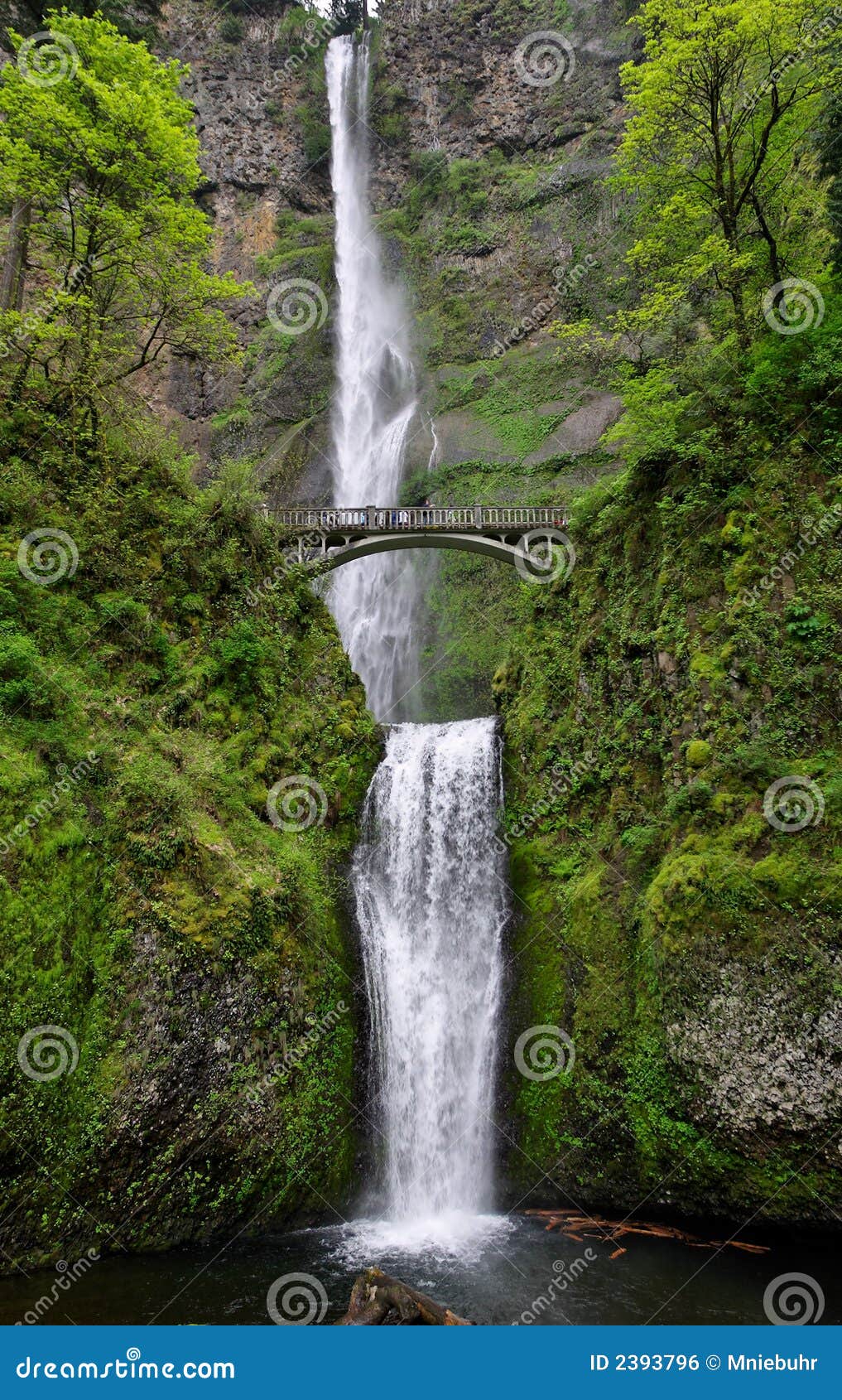 multnomah water falls, pacific northwest, oregon