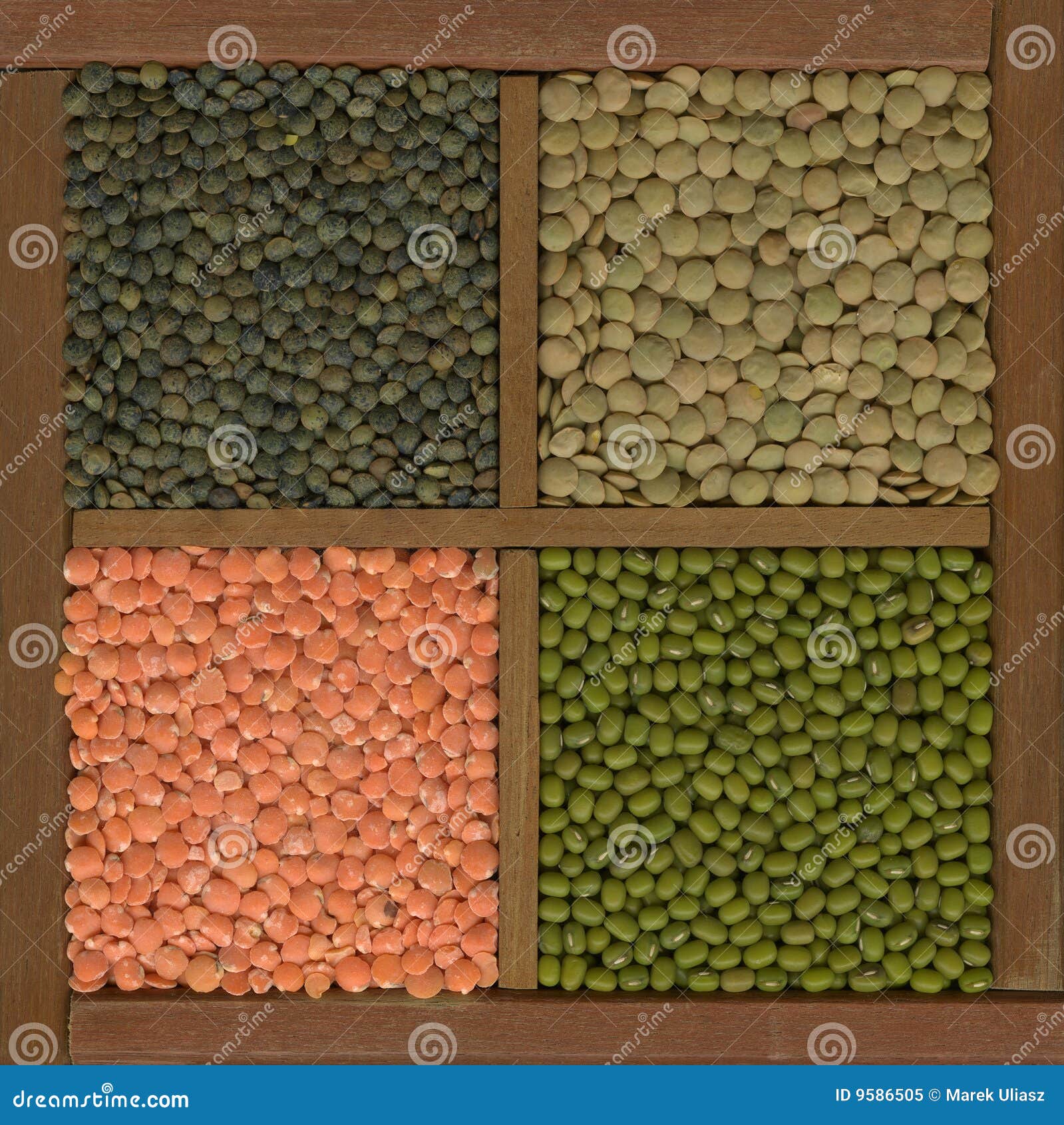 Mung Bean and Lentils (red, Green, French) Stock Image Image of food, background 9586505