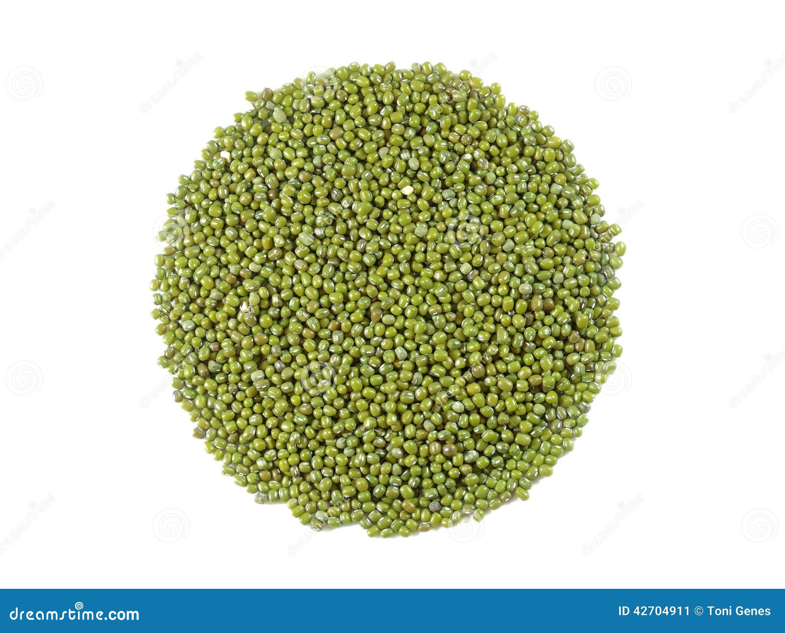 mung bean (vigna radiata)