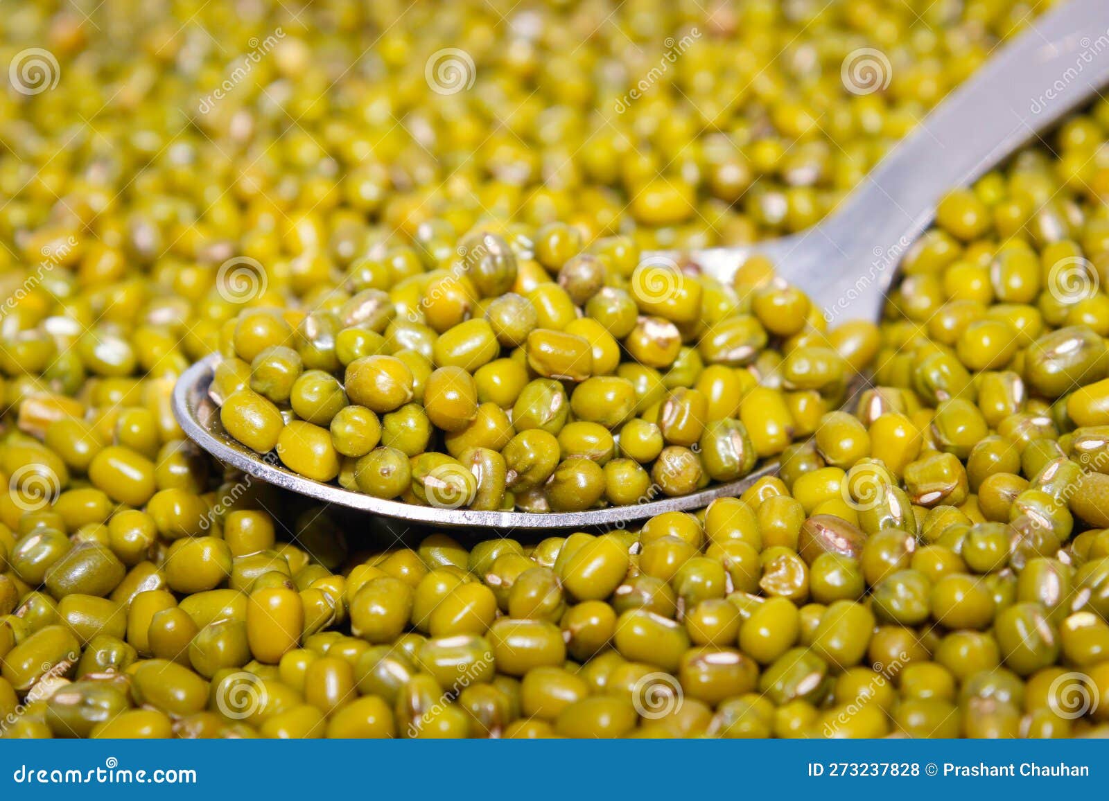 Mung Beans Lentil or Mung Daal Isolated on White Background Stock Photo Image of dish, plant