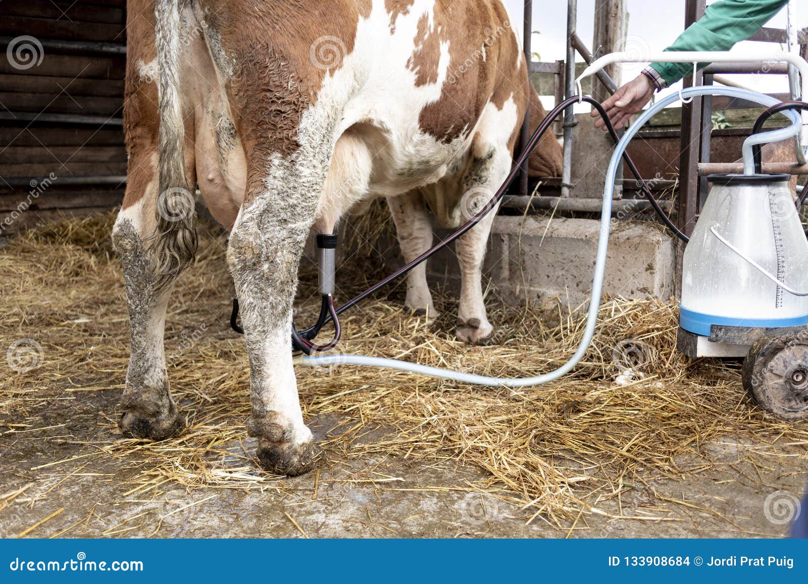 Tazza Per Mungitura Mucca AUNMAS - In Plastica E Acciaio, Design Ergonomico, Per Allevamenti Latte - Foto 9