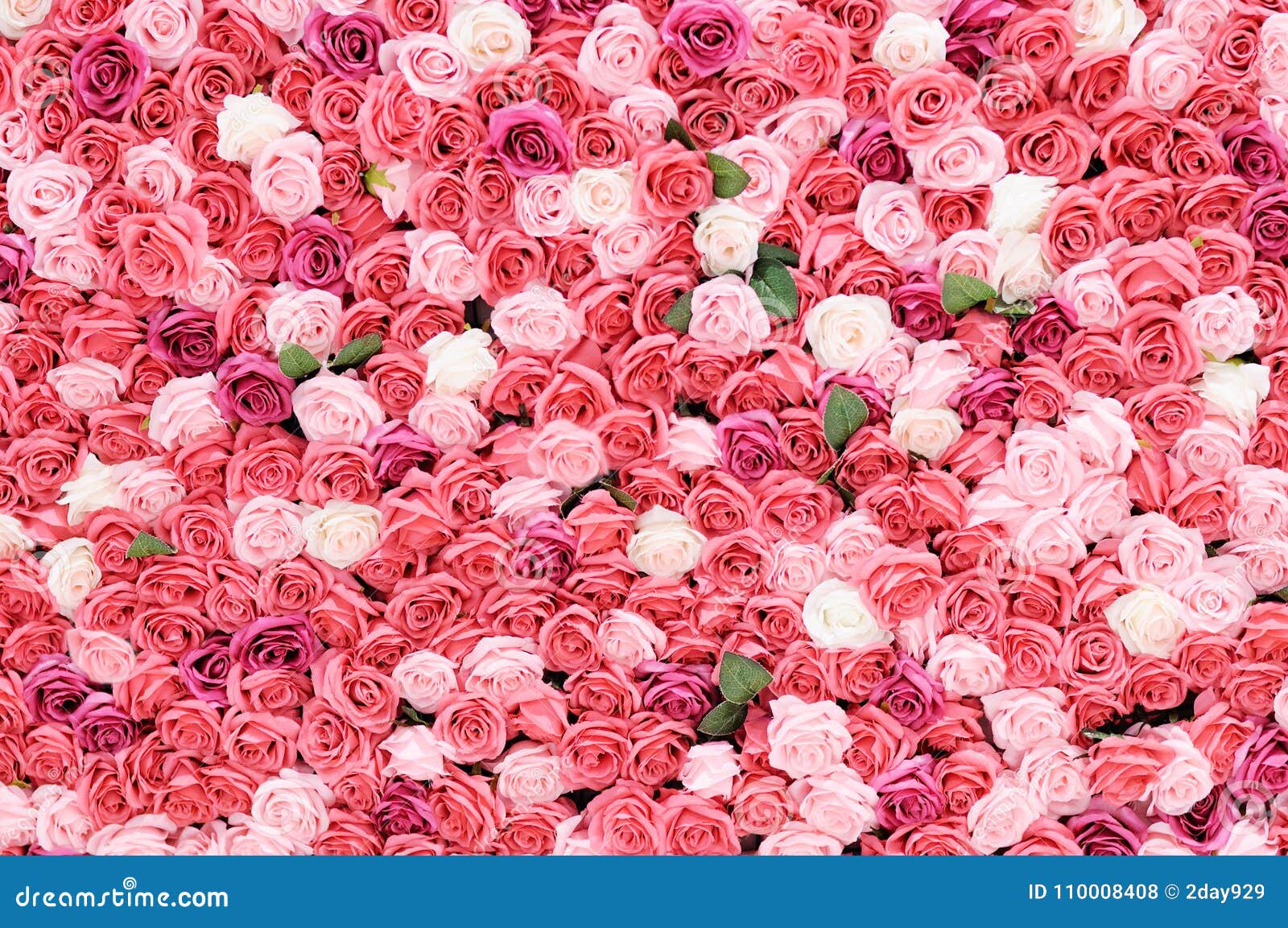 Mur de Rose photo stock. Image du complètement, roses 110008408