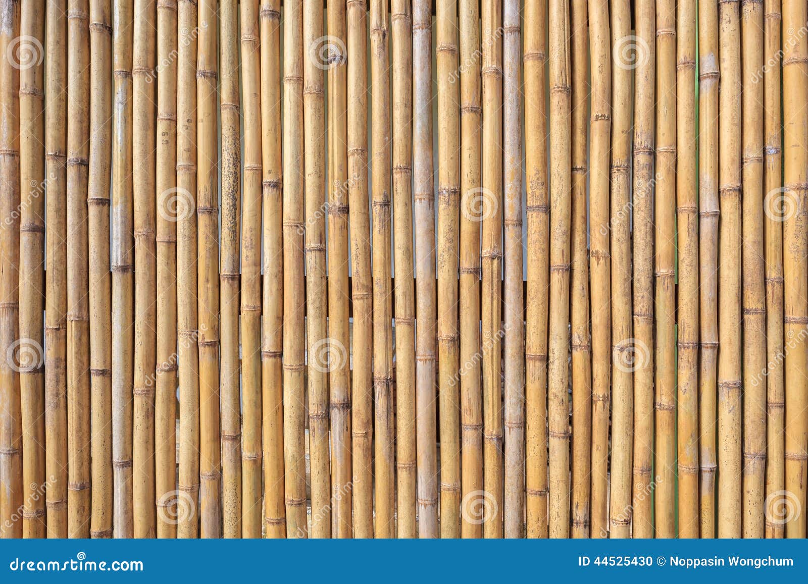  Mur  en bambou  photo stock Image du lumber fond 