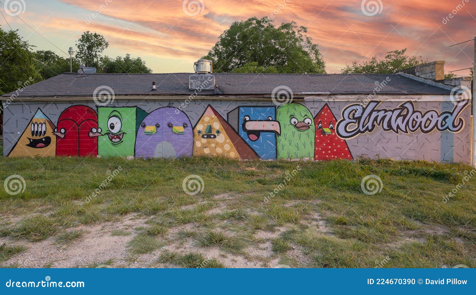 A Educação é Rei Mural No Jardim De John H Reagan Elementary