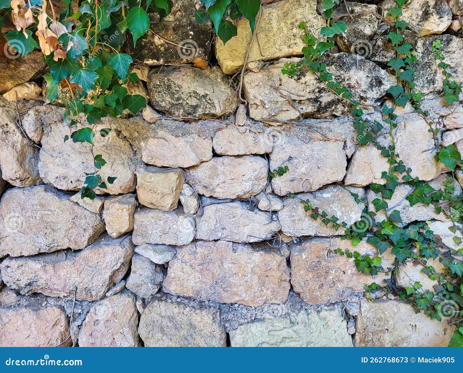 Muro De Pedra Rústica Com Vegetação Crescendo Sobre Ele Foto de Stock -  Imagem de espalhar, verde: 204125440