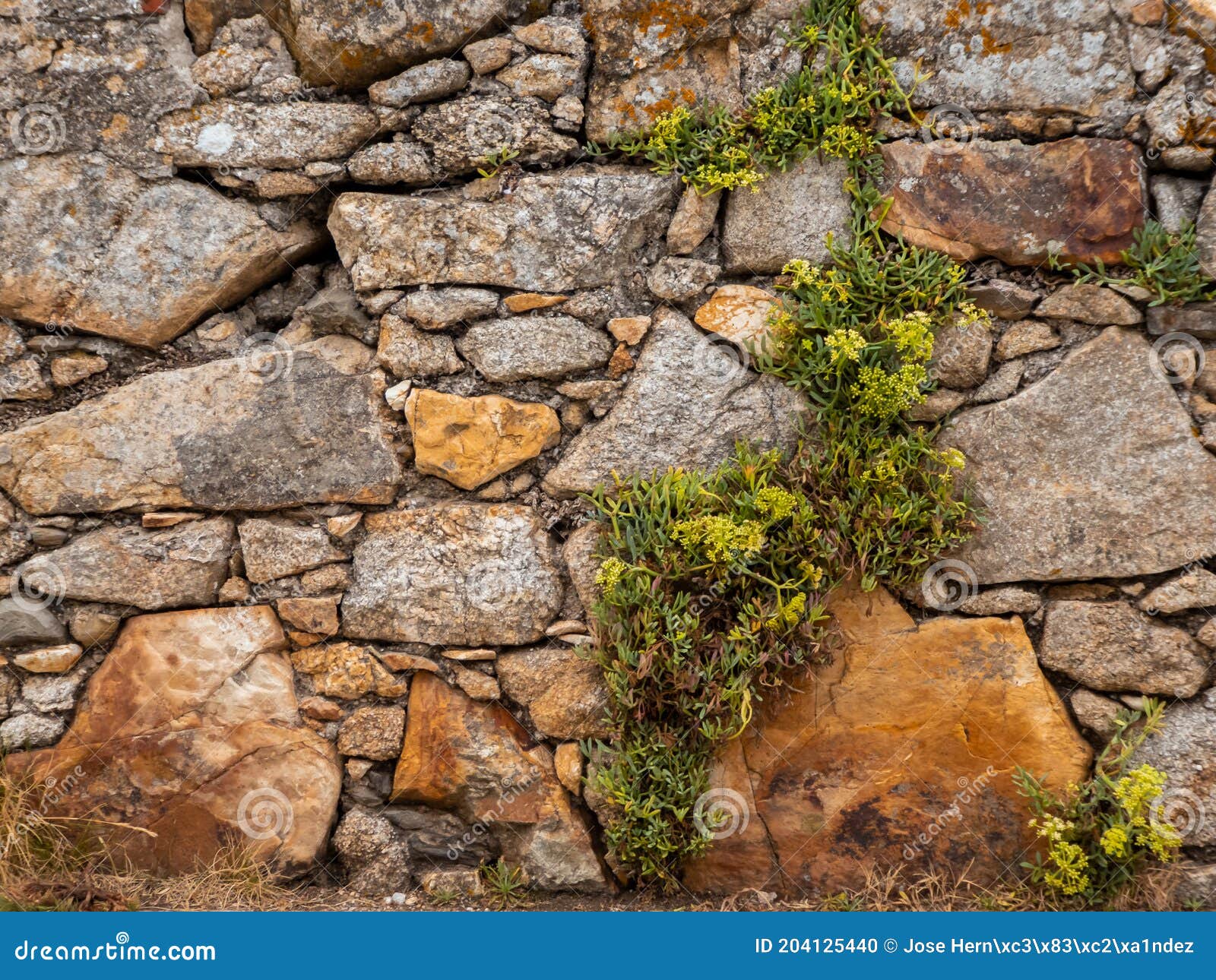 Foto De Stock Imagem Mostrando Um Muro De Pedra Rústica, Com Pontas  Irregulares, Royalty-Free