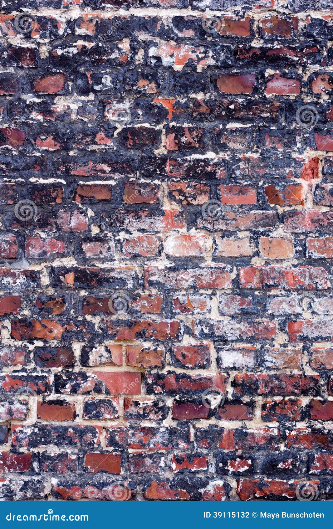Muro di mattoni variopinto vecchio. Fondo di vecchio muro di mattoni variopinto