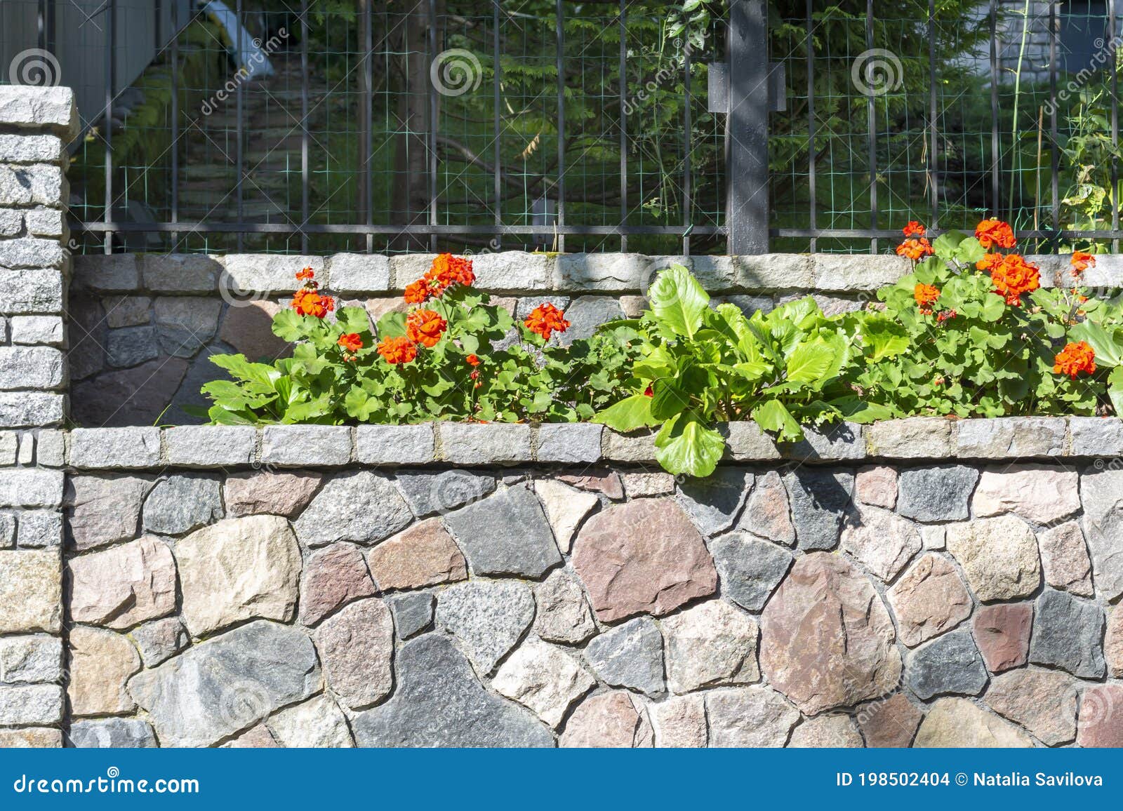 Papel de Parede Muro de Pedras Naturais Com Flores Verdes