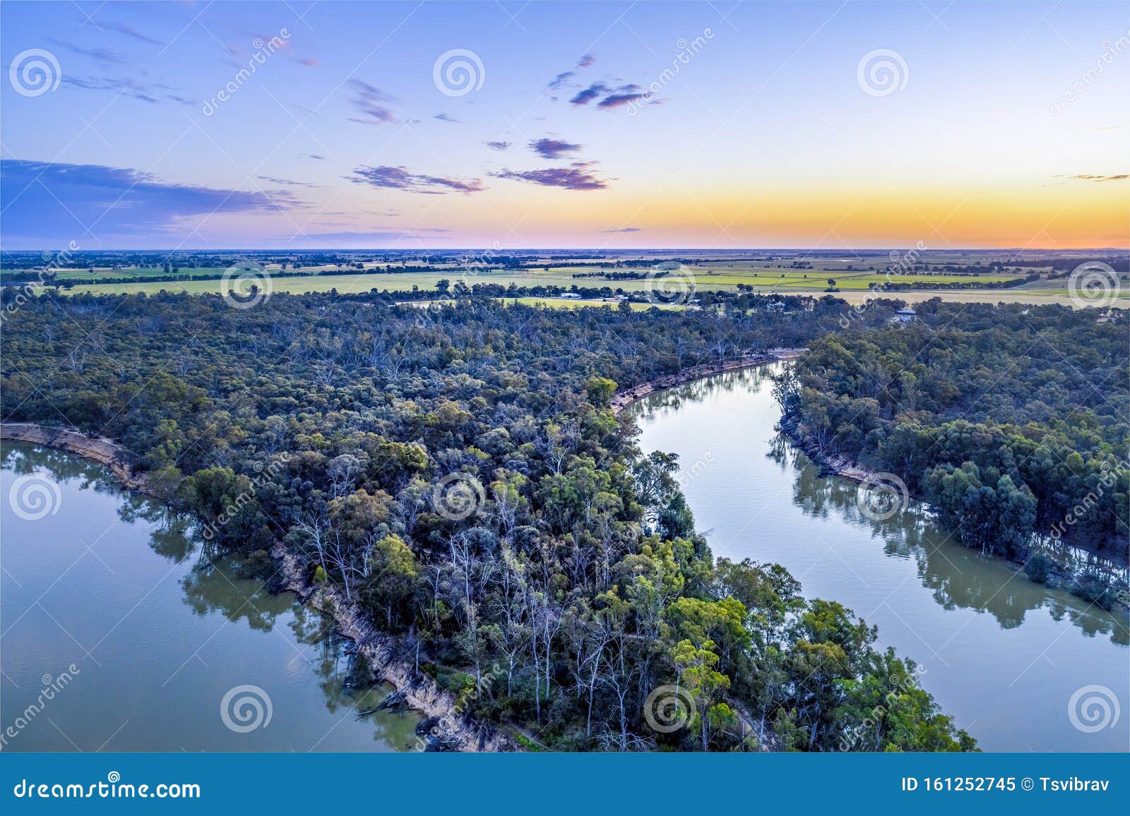 murray river bends among trees at dusk.