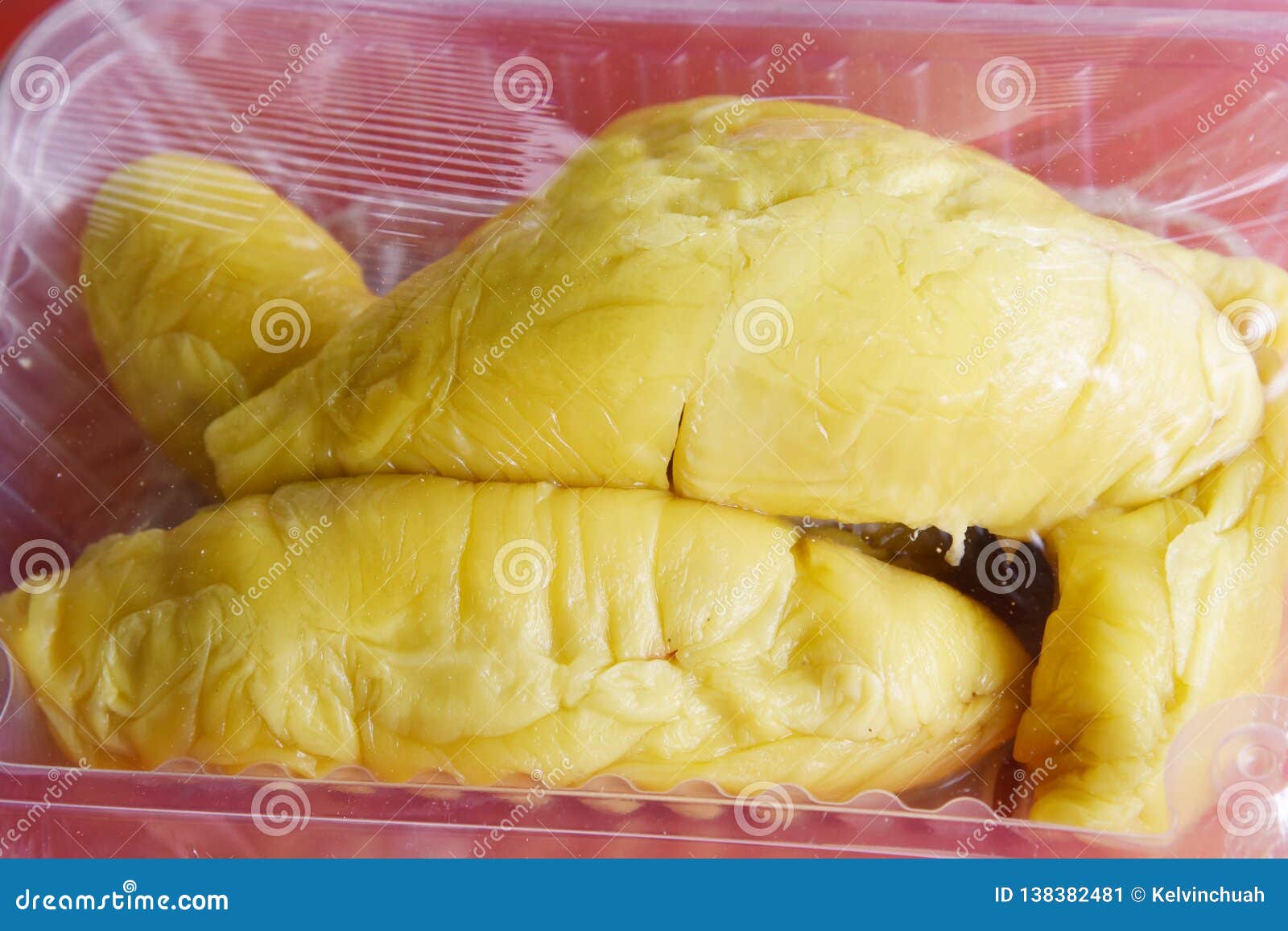 Durian king isi musang SLDB buka