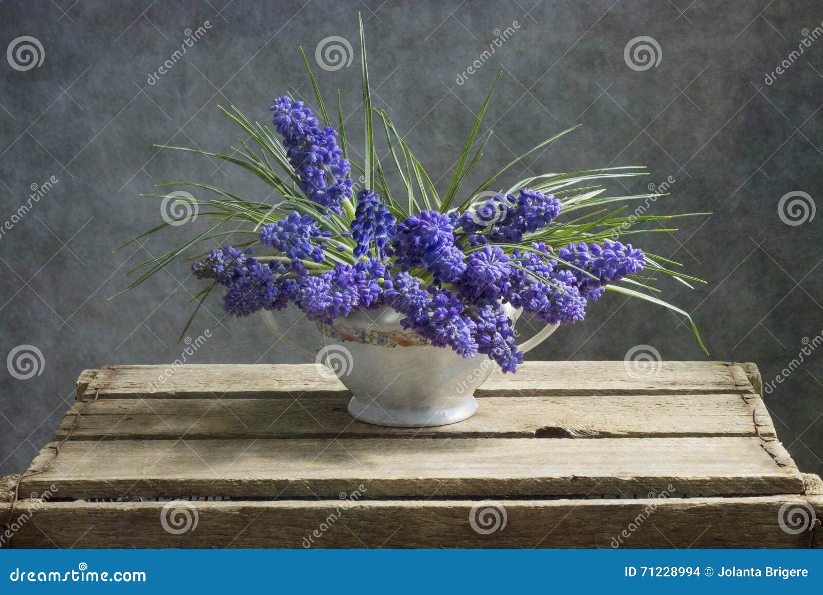 muscari flowers