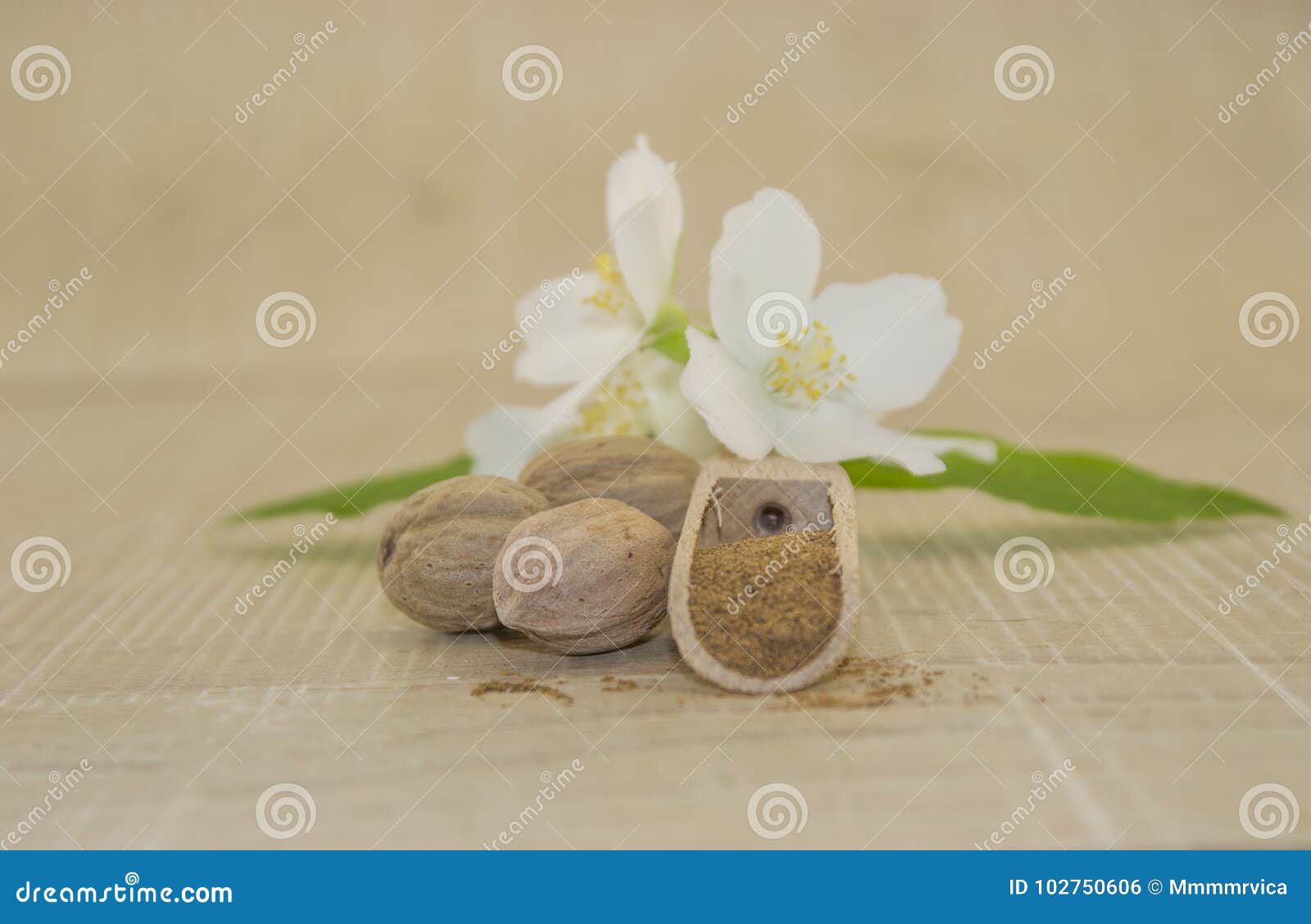 11,024 Flower Base Stock Photos - Free & Royalty-Free Stock Photos from  Dreamstime