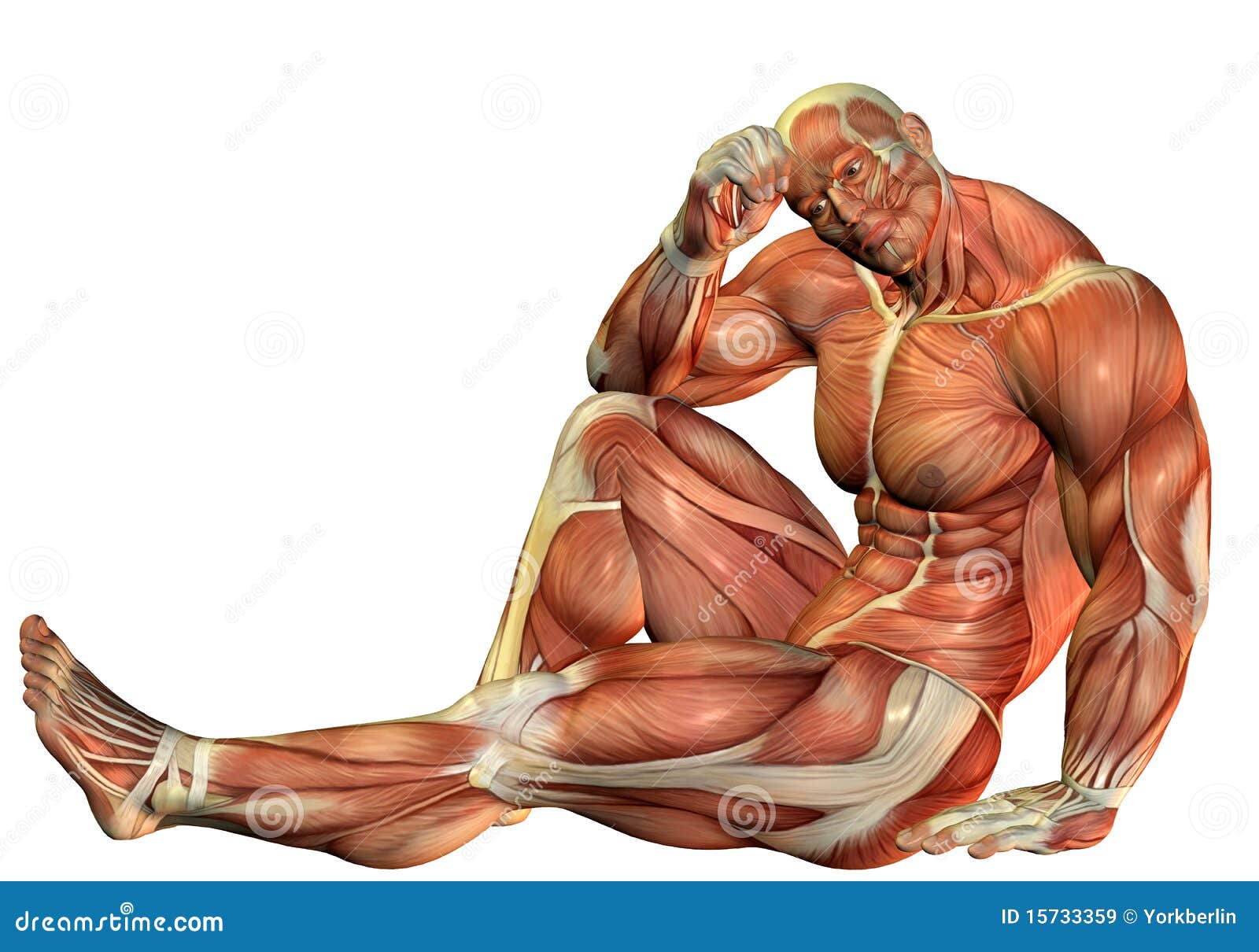 Muscle Body Builders In A Seated Pose Stock Illustration Illustration Of Render Fiber 15733359