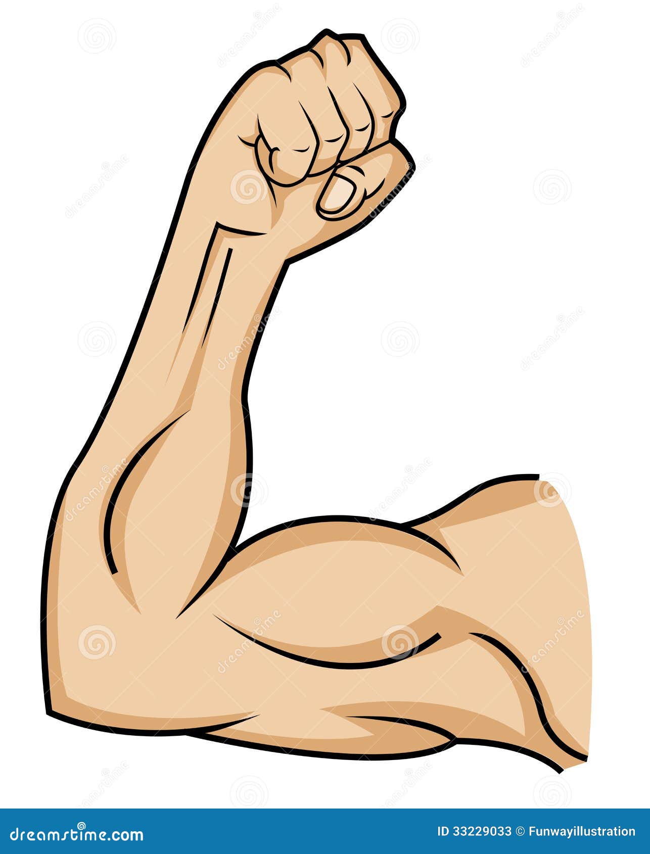 Muscle hand stock illustration. Illustration of bodybuilder - 33229033 Muscle hand stock illustration. Illustration of bodybuilder - 33229033