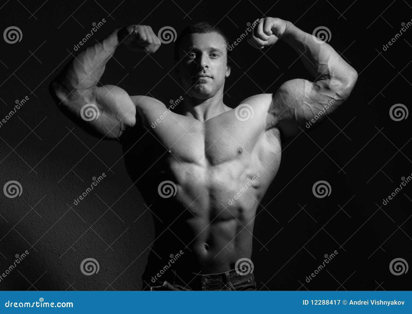 Muscle male model stock image. Image of male, young, macho - 12288417