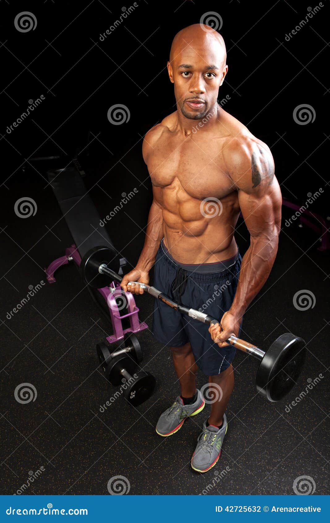 Toned and ripped lean muscle fitness  | Stock image 