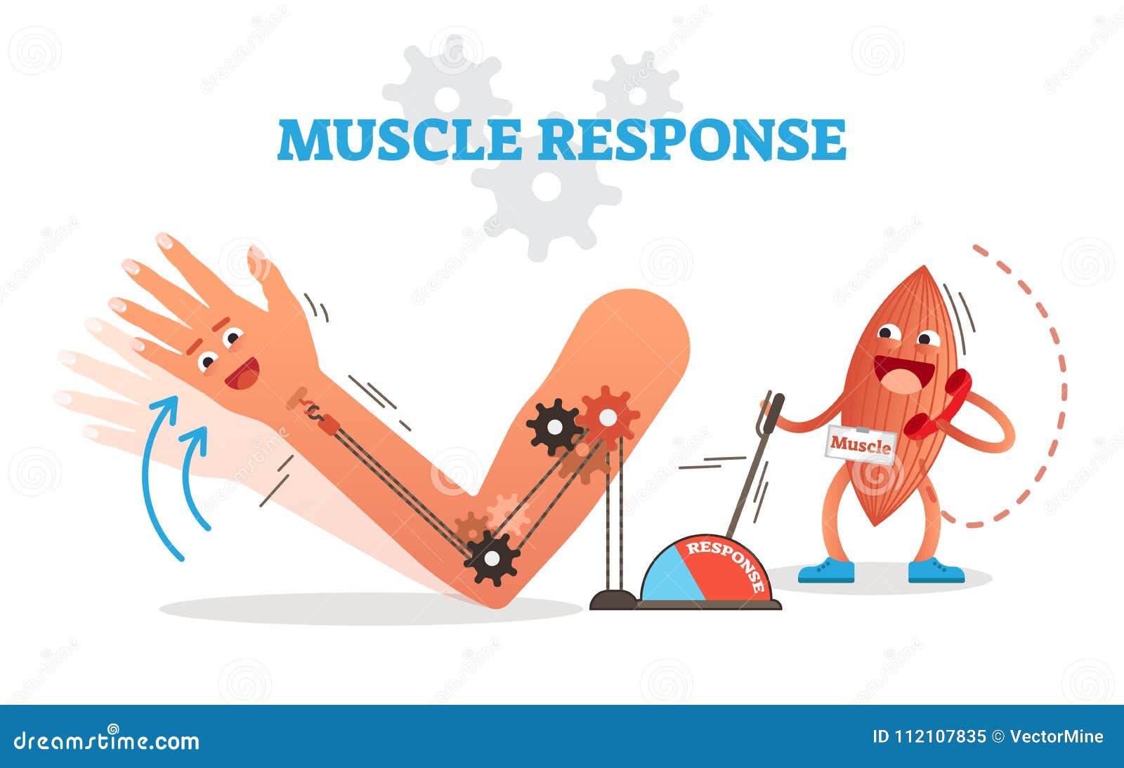 muscle response conceptual   scheme with cartoon muscle character receiving nerve impulse and moving hand.