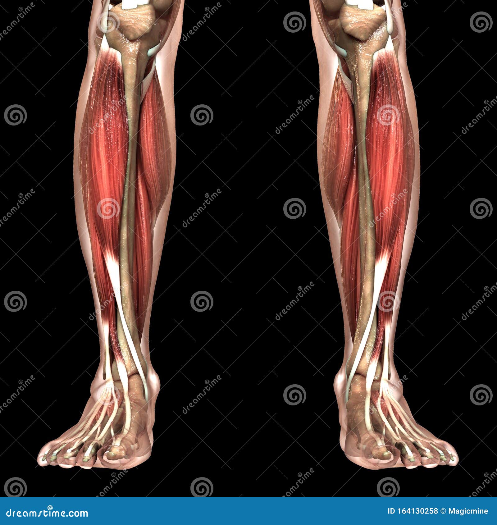 My Image 30