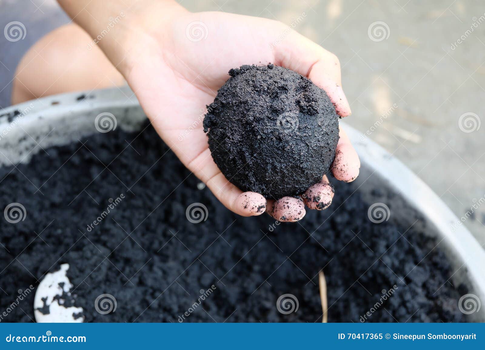 Muscovy Egg on the Black Soil Stock Image Image of preservation, bird