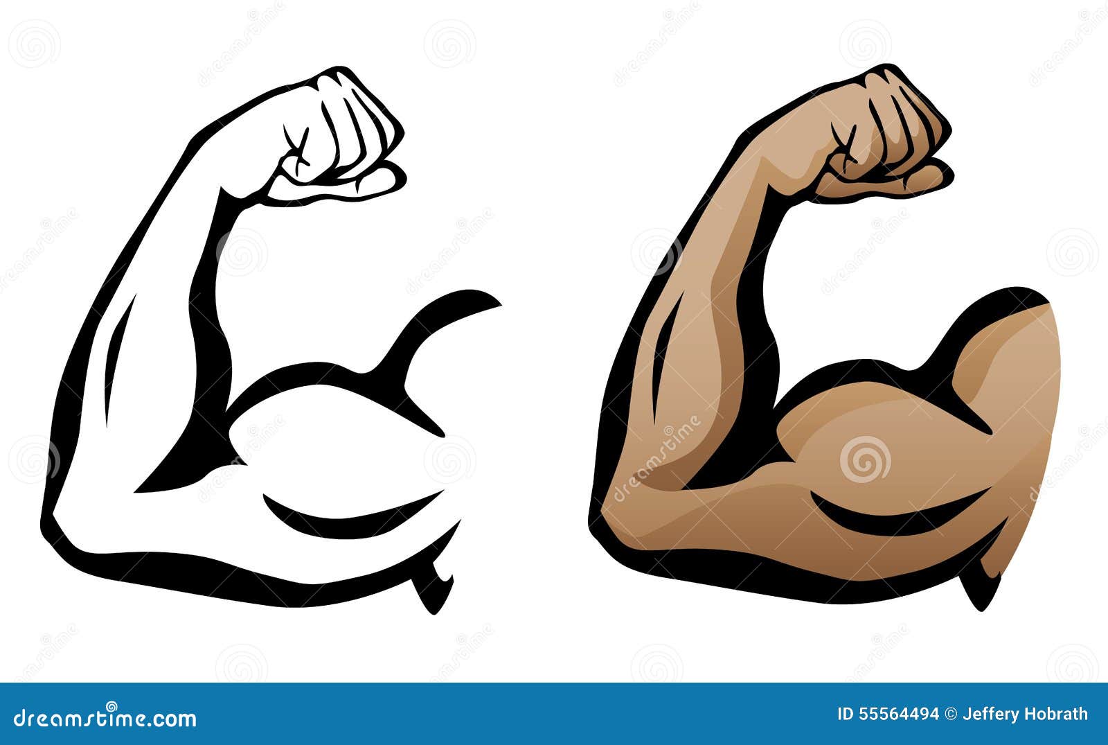Sharp clean illustration of arm flexing with large muscles, both as a 
