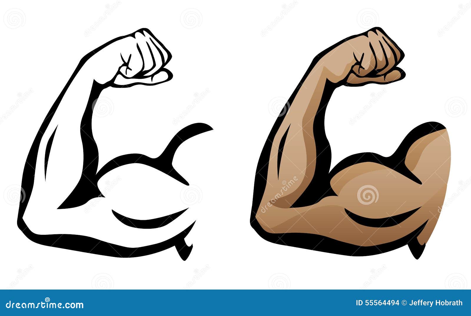 Sharp clean illustration of arm flexing with large muscles, both as a Sharp clean illustration of arm flexing with large muscles, both as a