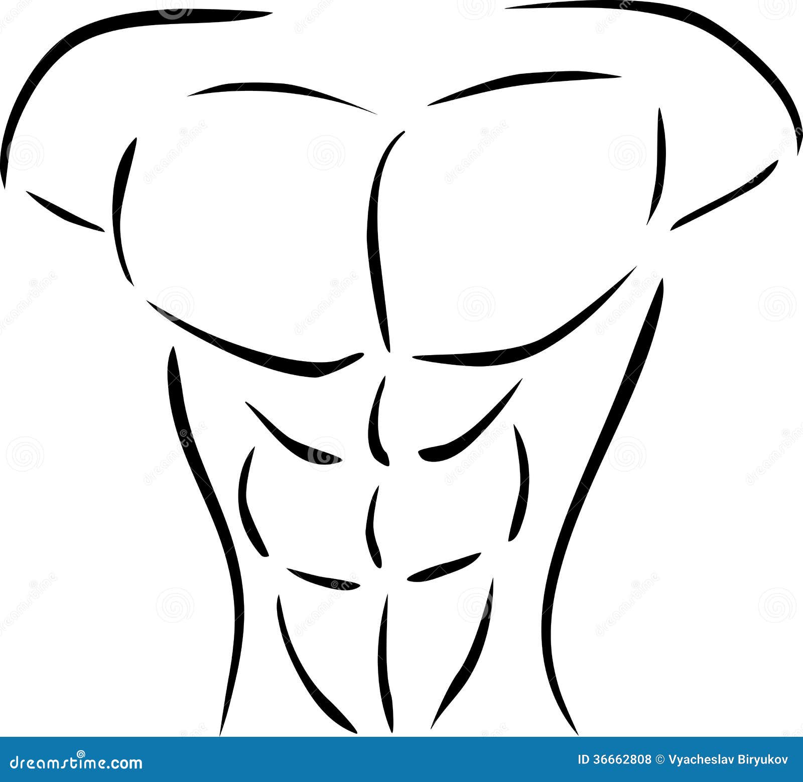 Muscular body stock vector. Image of vector, statue, body - 36662808
