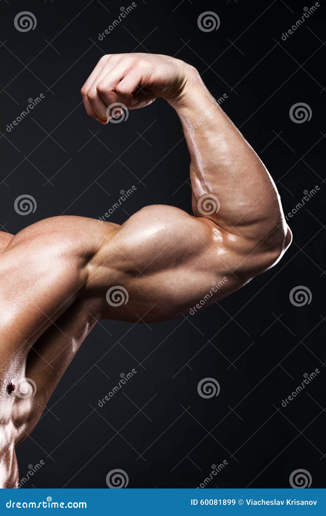 Muscular Human Male Arm from Front View Stock Image - Image of build ...