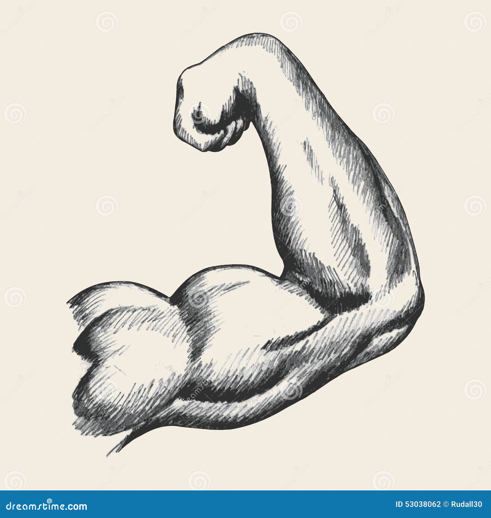 Muscular Male Right Ar...