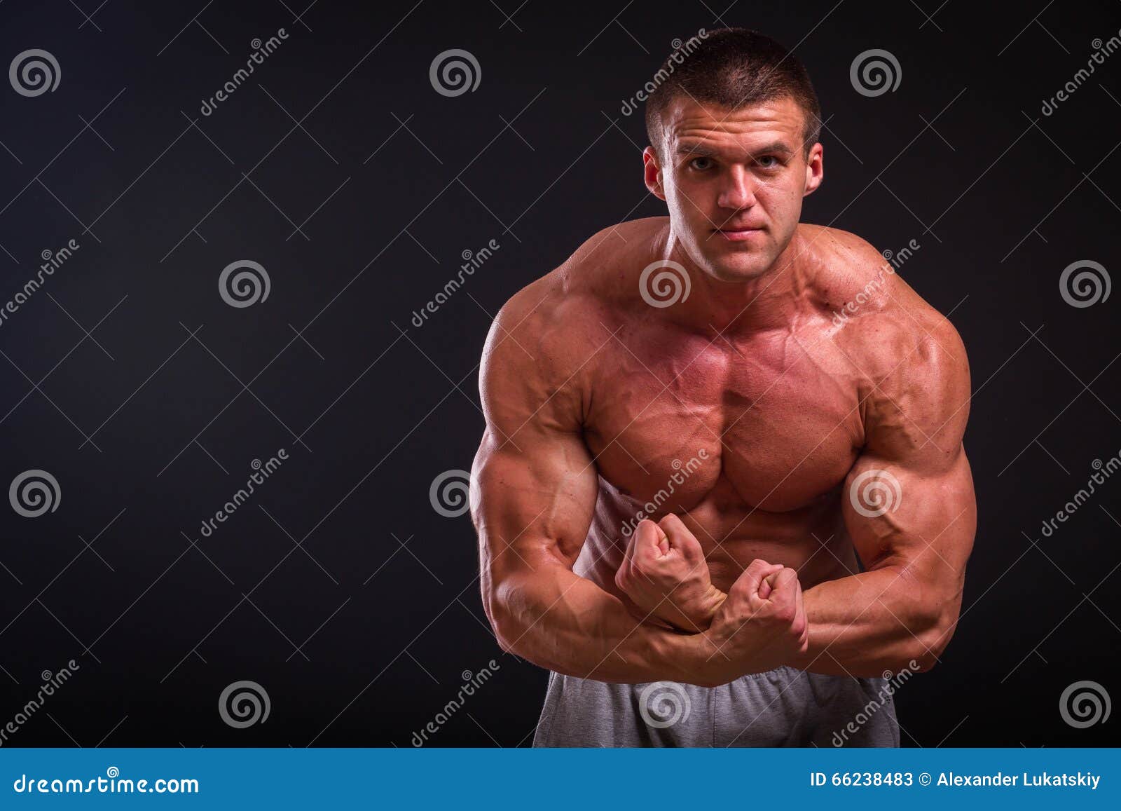 Muscular Man on a Dark Background Stock Image - Image of bodybuilder ...