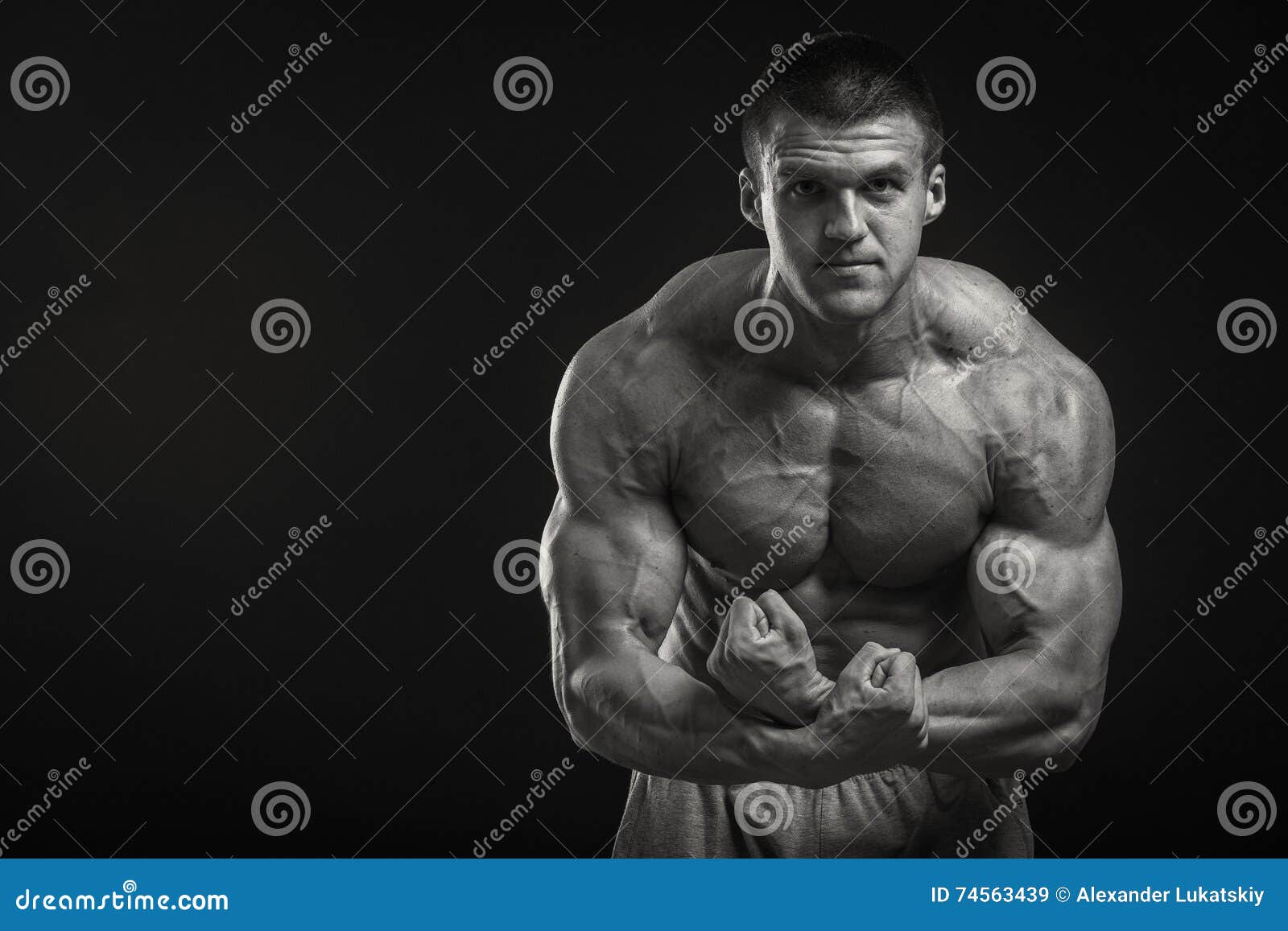 Muscular Man on a Dark Background Stock Image - Image of abdominal ...