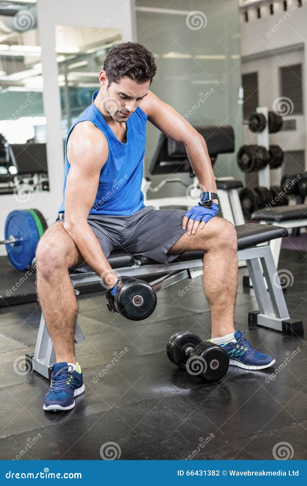 Muscular Man Lifting Dumbbell while Sitting on Bench Stock Photo