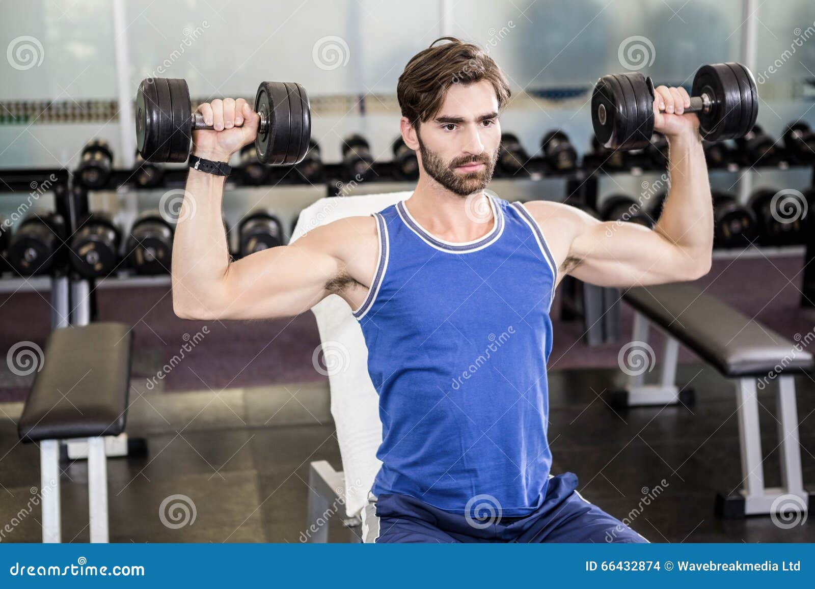 Muscular Man Lifting Dumbbells on Bench Stock Photo Image of care
