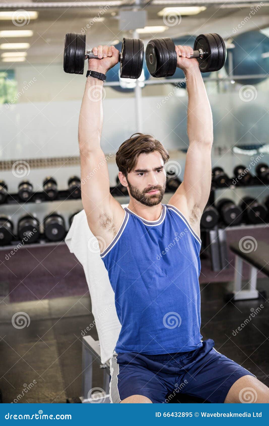 Muscular Man Lifting Dumbbells on Bench Stock Image Image of focused