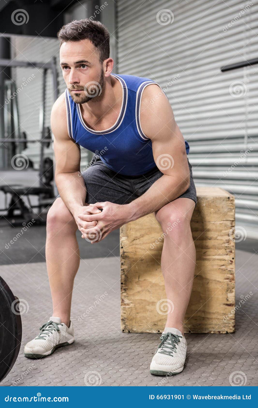 Muscular Man Sitting on Wooden Block Stock Image - Image of athletic ...