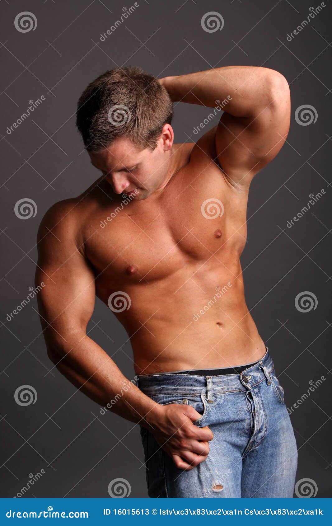 Muscular Model Stock Image Image Of Caucasian Adult 16015613