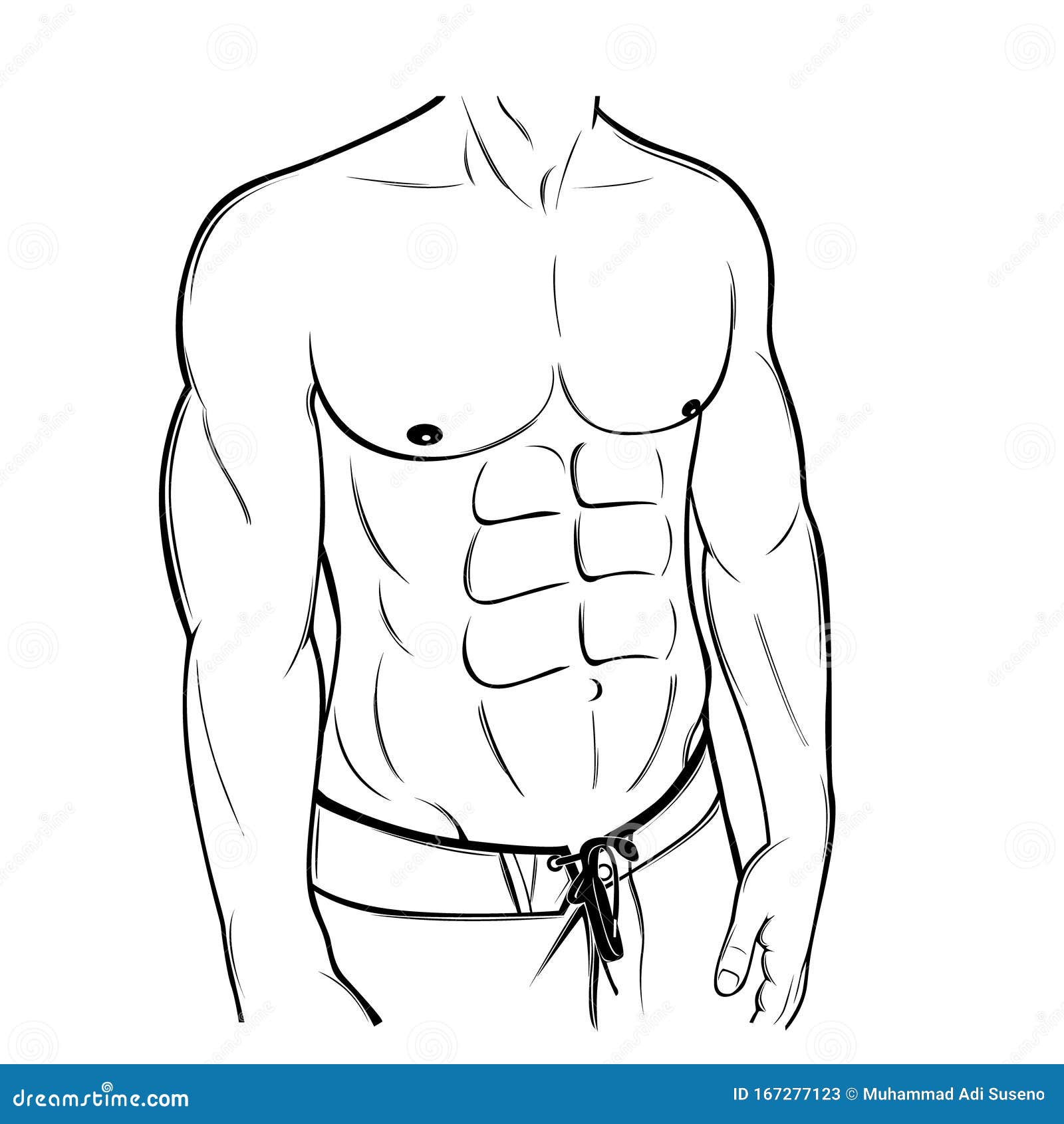 Muscular Six Pack Male Body Line Art Illustration Stock Vector