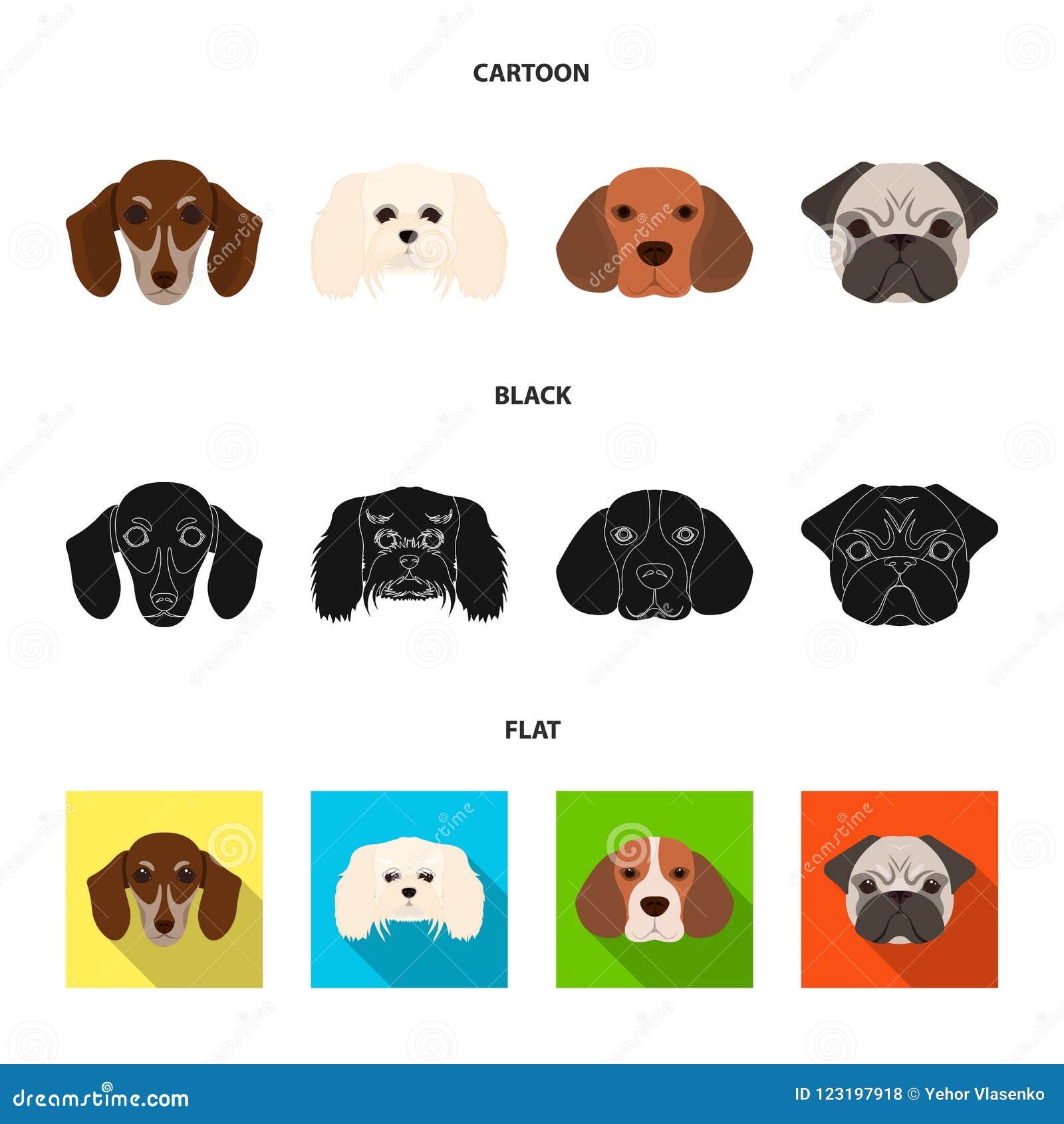 Museau De Différentes Races Des Chiens Poursuivez La Race Du