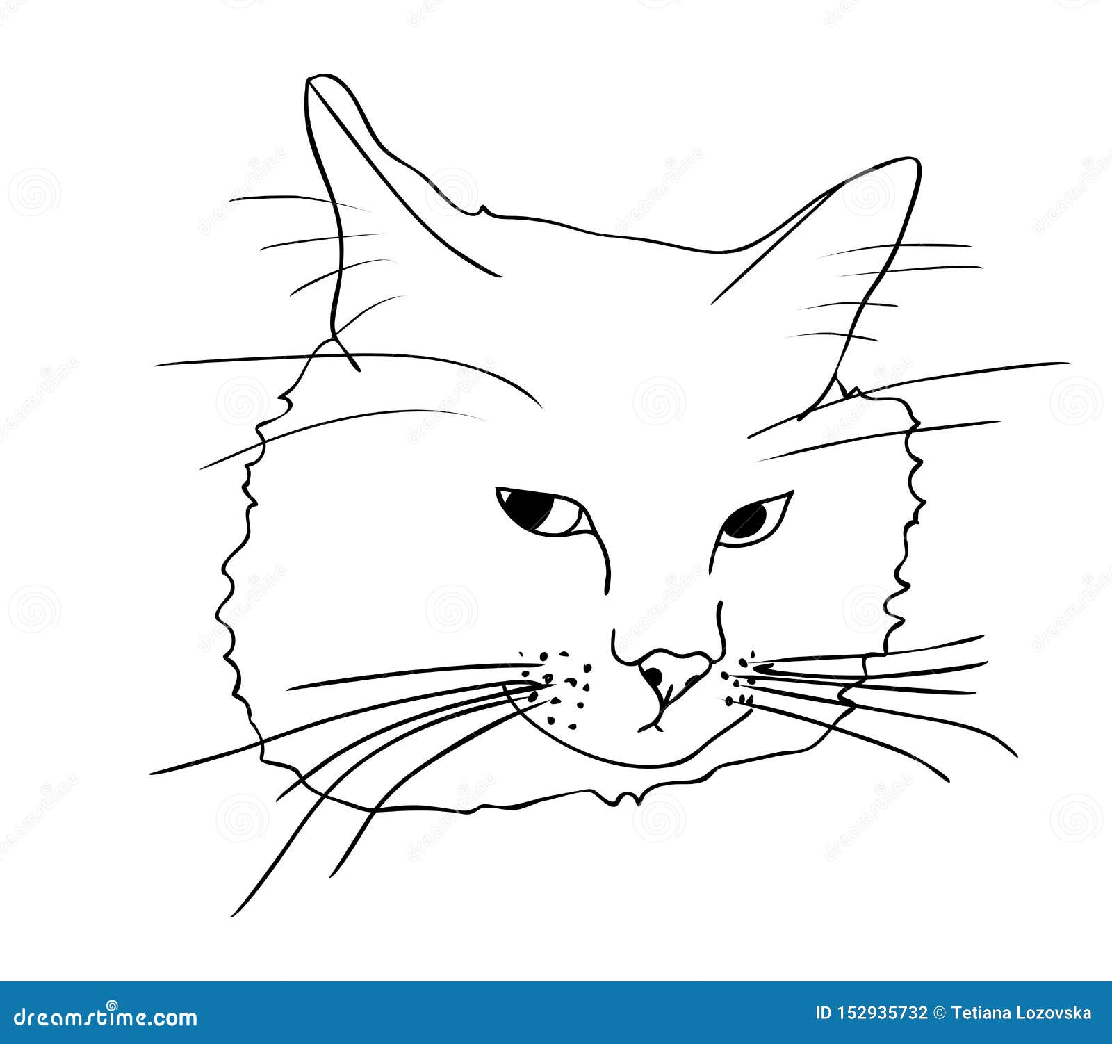 Museau Offense Triste D Isolement De Chat Dans Des Couleurs Noires Et Blanches Dessin De Croquis Peint A La Main D Ensemble Illustration De Vecteur Illustration Du Forme Triste Museau Offense Triste D Isolement De Chat Dans Des Couleurs Noires Et Blanches Dessin De Croquis Peint A La Main D Ensemble Illustration De Vecteur Illustration Du Forme Triste