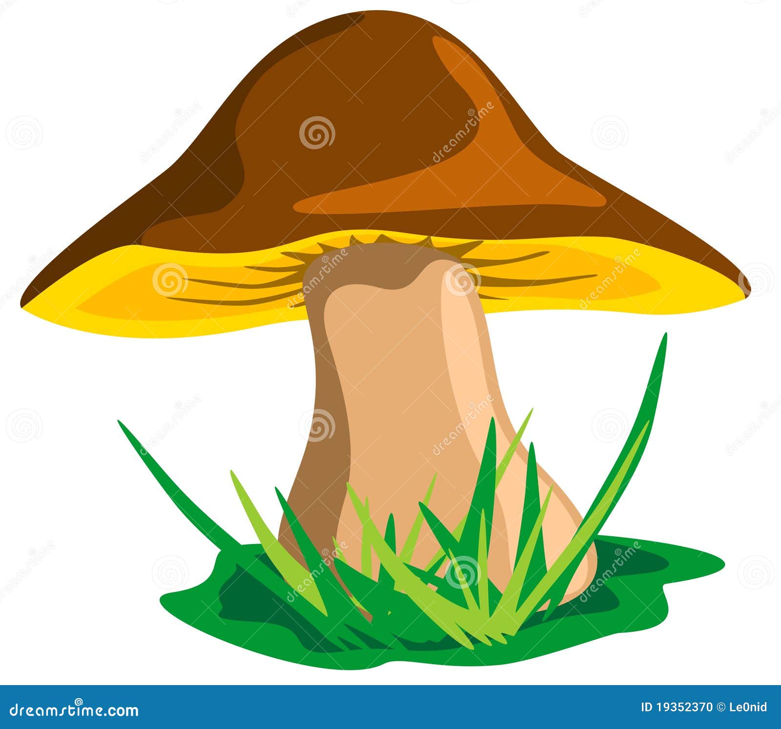 Mushroom stock vector. Illustration of design, freshness - 19352370