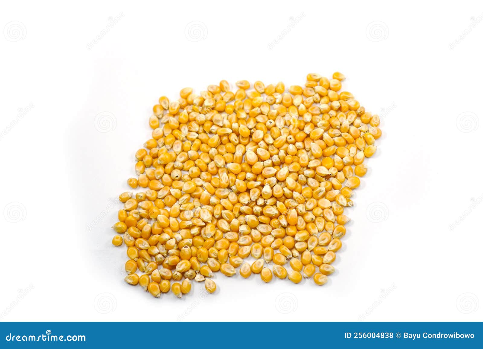 Mushroom Corn Kernel Type Used To Make Popcorn Stock Photo Image of cereal, vegetable 256004838