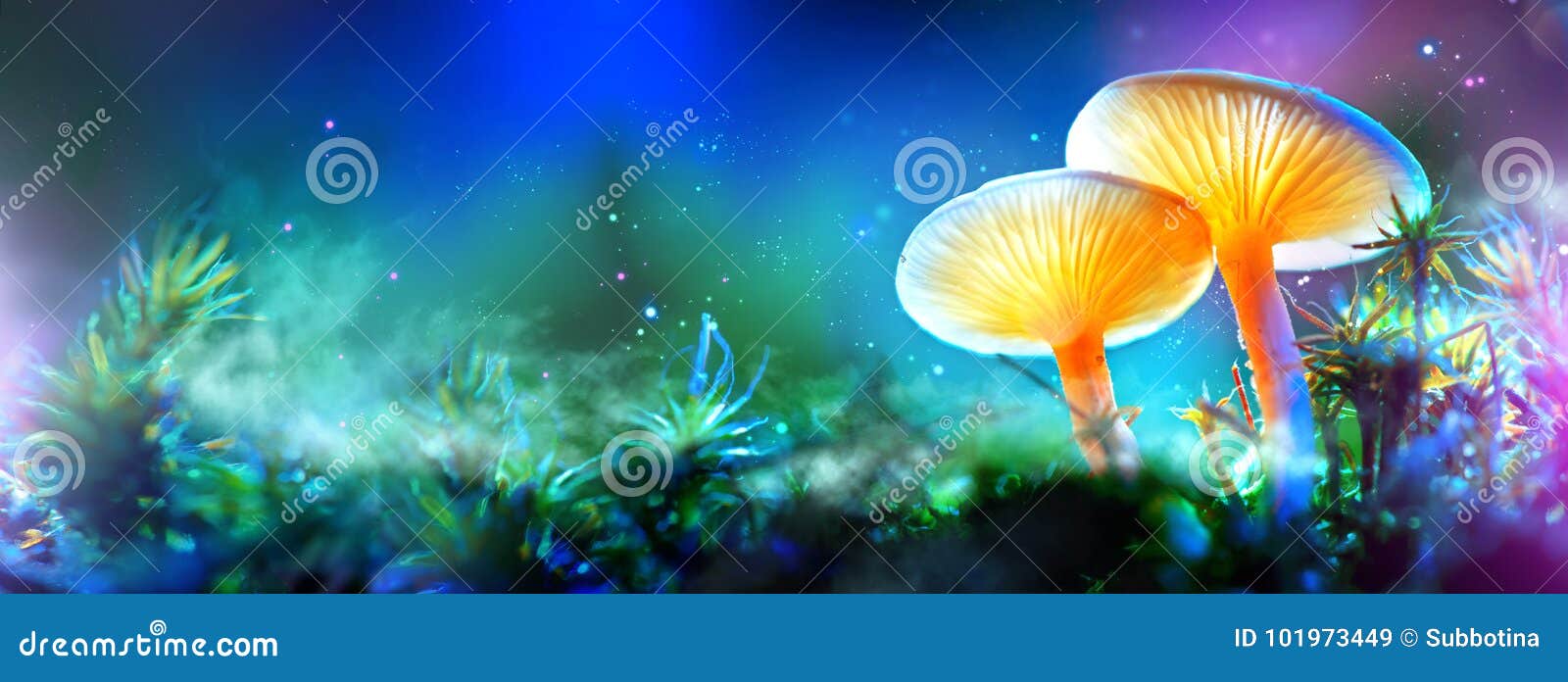 mushroom. fantasy glowing mushrooms in mystery dark forest