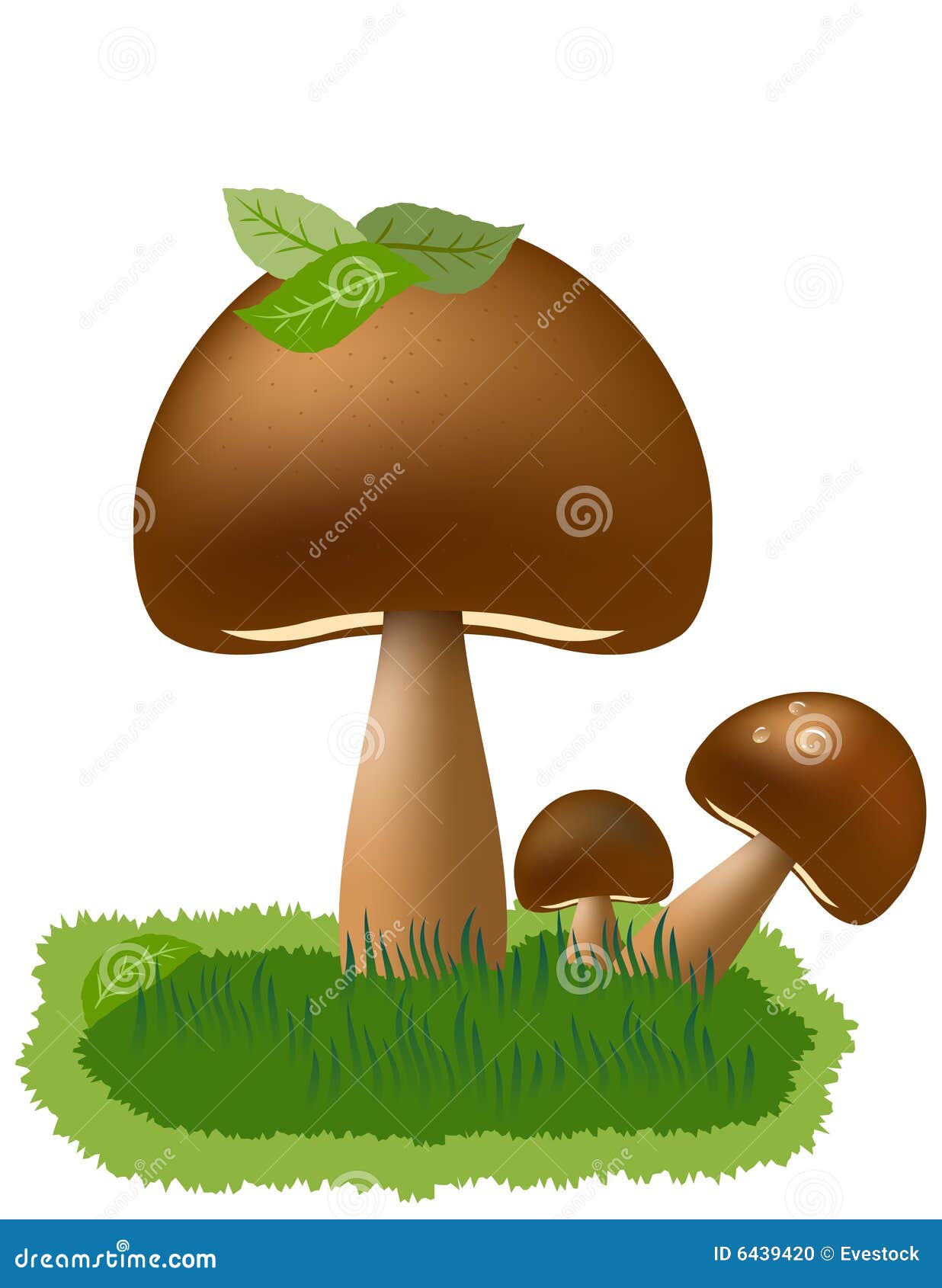 Mushroom illustration stock illustration. Illustration of isolated