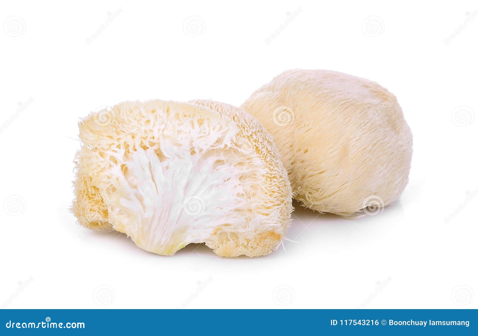 mushroom mokey head, lion mane or yamabushitake 