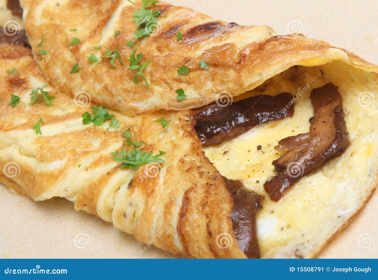 Mushroom Omelet stock image. Image of herb, mushrooms - 15508791