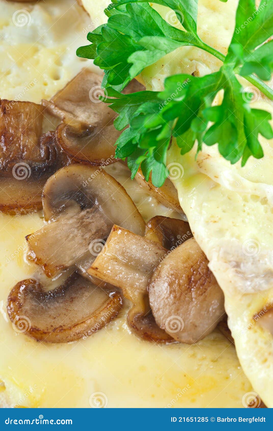 Mushroom Omelet stock image. Image of vertical, parsley - 21651285