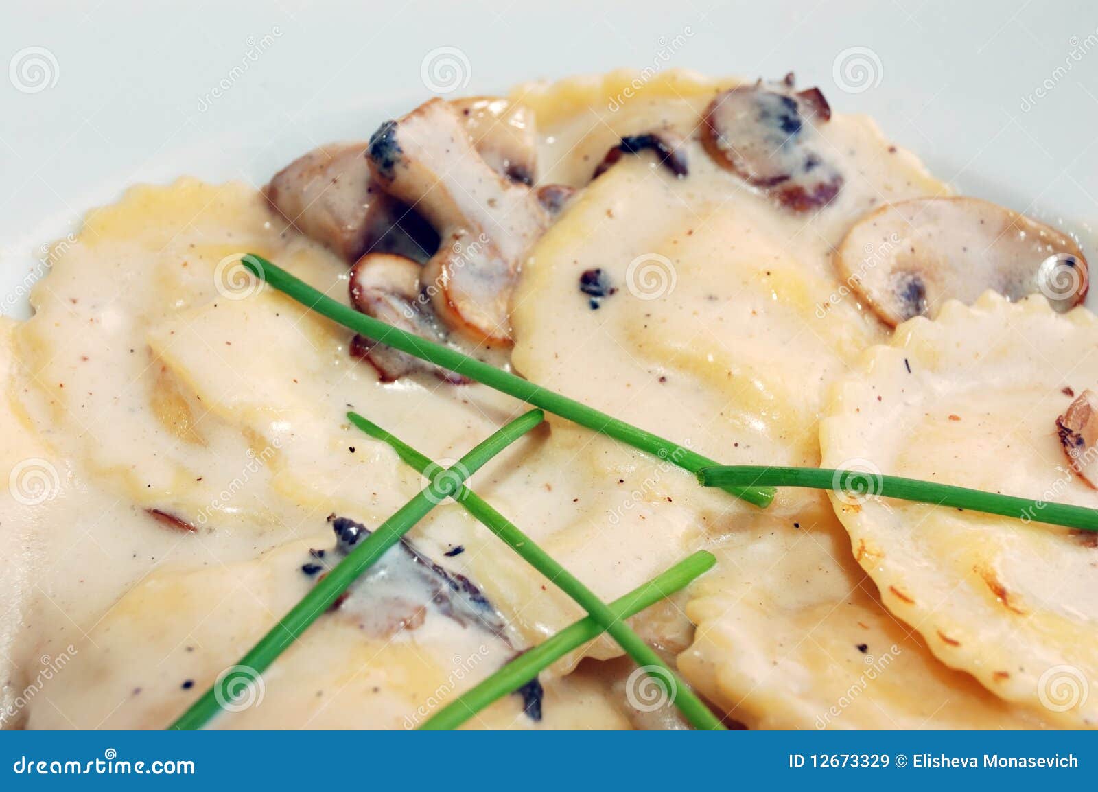 Mushroom Ravioli with Cream Sauce Stock Image Image of gastronomy