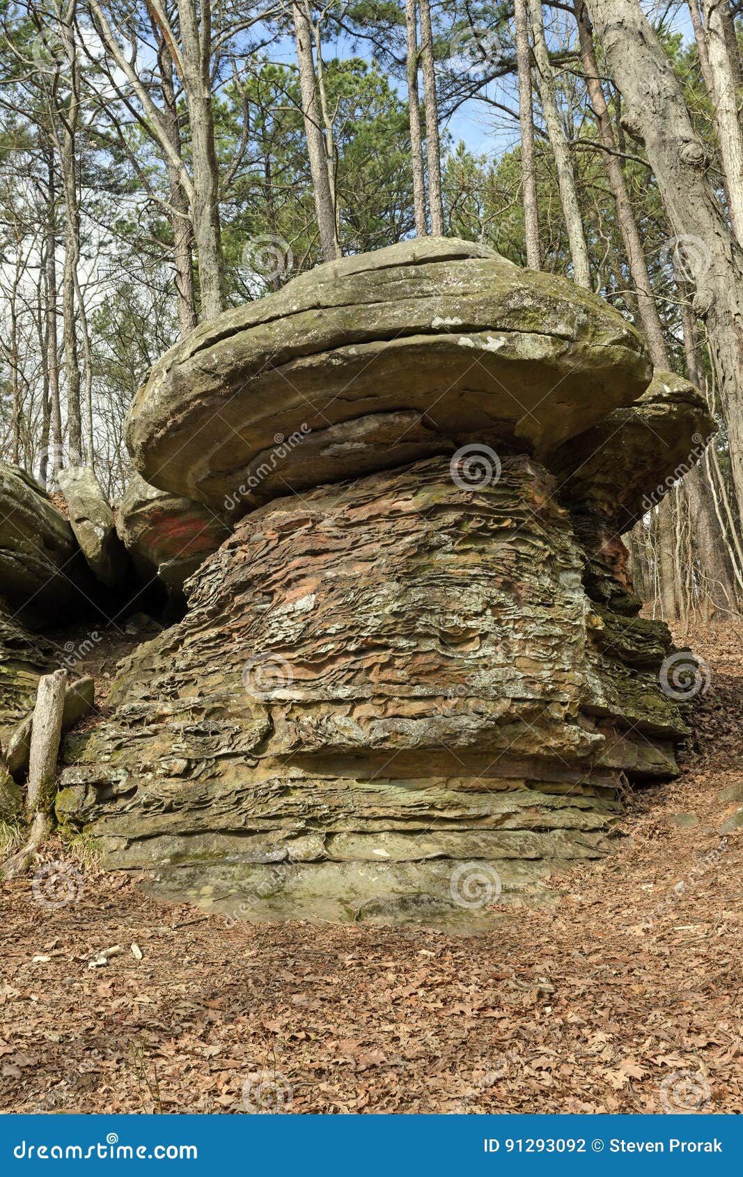 Mushroom Rock In The Forest Stock Photo Image Of Mushroom